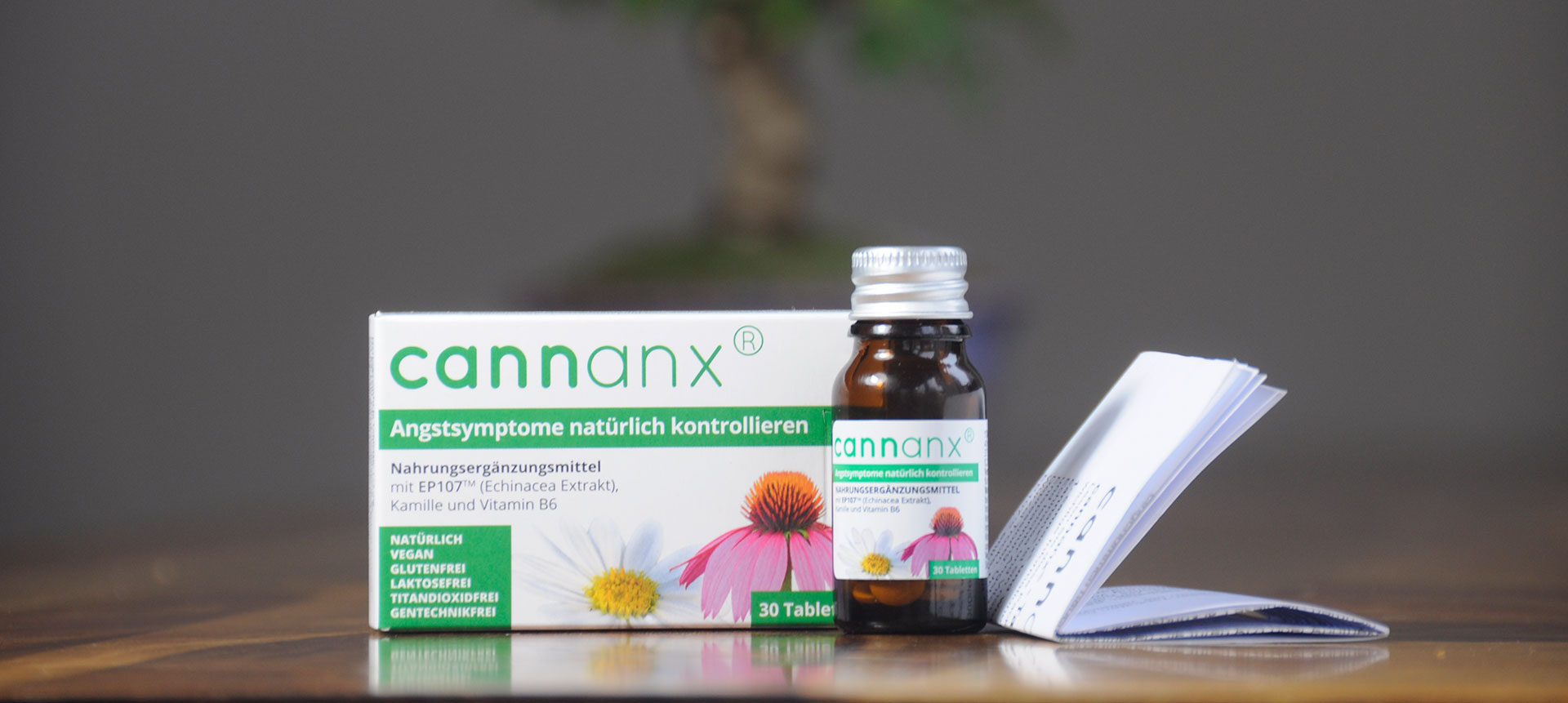 cannanx-anxiolytic